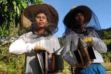 Beekeeper installing hives in the forest Philippines