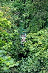 Course pod above the canopy Saint Lucia