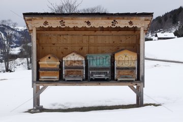 Hive away from the weather in the winter Alps France