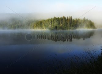 Misty lake and boreal forest Oulanka NP Finland