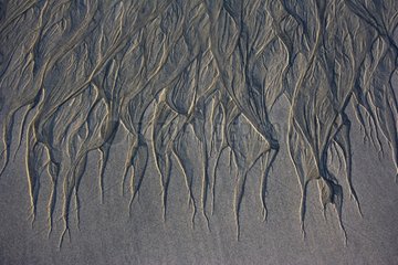 Sand of a beach on the island of Masirah Oman Arabian Sea