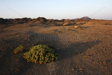 Landscape of the island of Masirah Oman Arabian Sea
