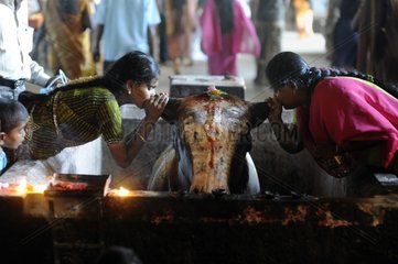 Women in sari in the Sri Meenakshi temple in Madurai India