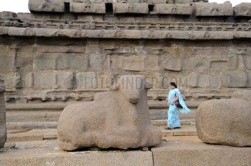 Nandi statue of the god at the Shore Temple in Mamallapuram