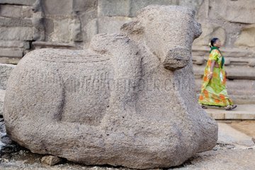 Nandi statue of the god at the Shore Temple in Mamallapuram
