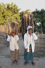 Carriers wood in the village of Lali Arunachal Pradesh India