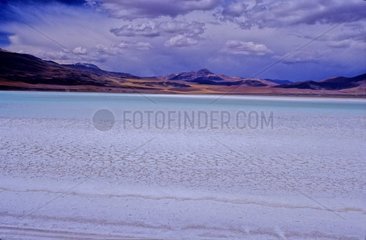 Salar Aguas Calientes Gebiet der Anden Atacama Chile