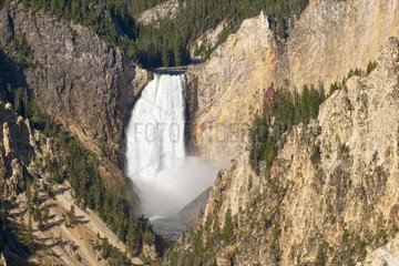 Lower Falls Grand Canyon of the Yellowstone USA