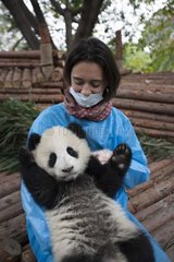 Owner of a zoo with a young Giant Panda China