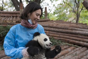Owner of a zoo with a young Giant Panda China