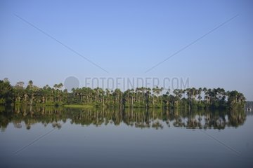 Landscape of Lake Sandoval Amazon Peru