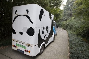 Drawing of a Giant panda on a vehicle China