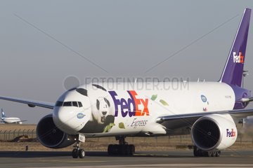 Arrival of the plane carrying the giant Pandas in Paris
