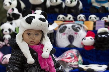 Girl in a souvenir shop on the Giant Panda China