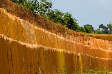 Laterite oxidized rainforest in French Guiana