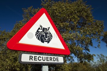 Sign indicating the presence of Iberian lynx Andalusia