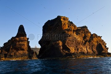 Senyoreta et Mancolibre Illa Grossa Columbretes Island Spain