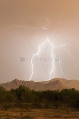 Quadruple lightning on Tucson Mountains Arizona USA