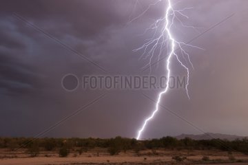 Positive lightning striking the desert Arizona USA