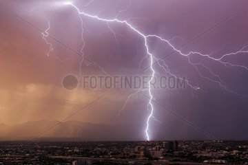 Highly branched lightning striking Tucson at dusk Arizona