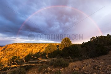Rainbow on Grand Canyon NP Arizona USA