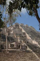 Pyramid of ancient Maya City of Calakmul Mexico
