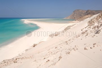 Qalansiyah sandy Beach Island of Socotra Yemen