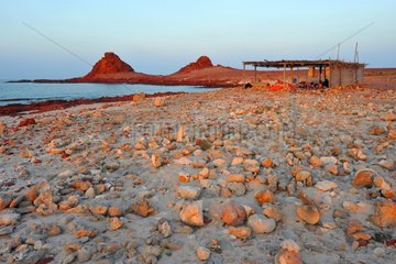 Marine Reserve Dihambri Yemen Socotra Island