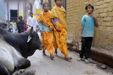 Cow and children on the streets of Varanasi in India