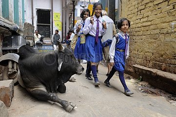 School children from Varanasi near a cow in India