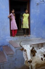 Children in a street with a cow in India Varanasi