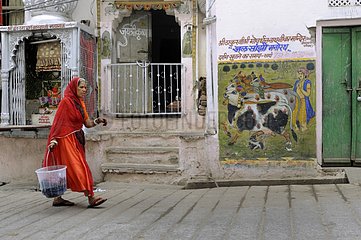 Cow on a mural on a street in Udaipur in India