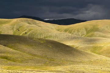 Lamar Valley under a stormy sky Yellowstone NP USA