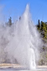 Spa Geyser erupts Upper Geyser Basin Yellowstone NP