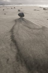 Rock on sand pillars - Steward Island  New Zealand