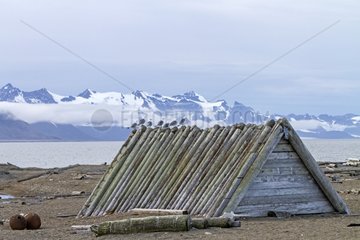 Trapper Cabin Poolepynten Prinz Karl Forland Svalbard