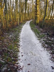 Trail in the Mersehead reserve Scotland