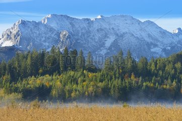 Trees in front of the Karwendel Mountains in autumn Germany