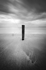 Wooden pole on a beach at low tide Normandy France