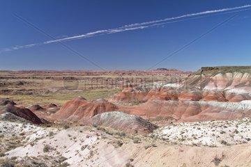 Landscape of Painted Desert in Petrified desert NP USA