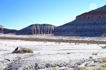 Landscape of Painted Desert in Petrified desert NP USA