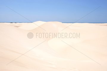 Dunes Hayfa Yemen Socotra Island