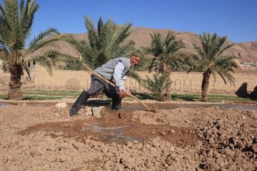 Man opening a valve to irrigate land in a field Iran
