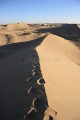 Crest of a sand dune in Varzaneh Iran