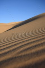 Sand Dunes in Varzaneh Iran