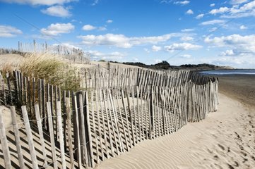 Fences protecting the dunes Pointe Espiguette Camargue