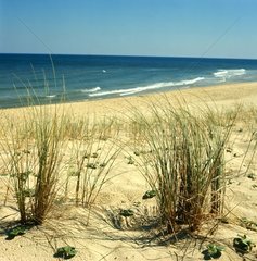 Dune de sable avec mer