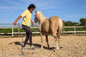 Young woman doing an exercise with his horse France
