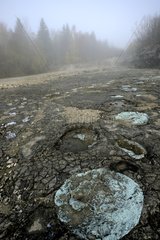 Site of dinosaur tracks at Loulle in Jura France