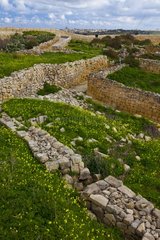 Path and stone wall Victoria (Rabat) Gozo Malta